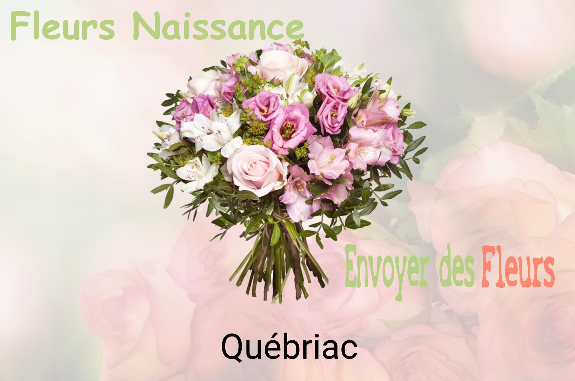 Bouquet de fleurs de naissance livré à Québriac